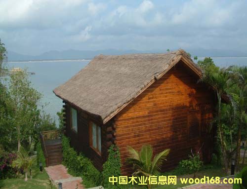 ɽ������ľľ�ݵ�Ԕ��(x��)��B