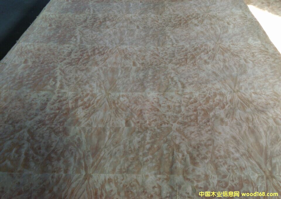 ɽ�������ţƤ����Ԕ����B