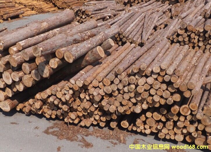 ��ɼԭľ��Ԕ��(x��)��B