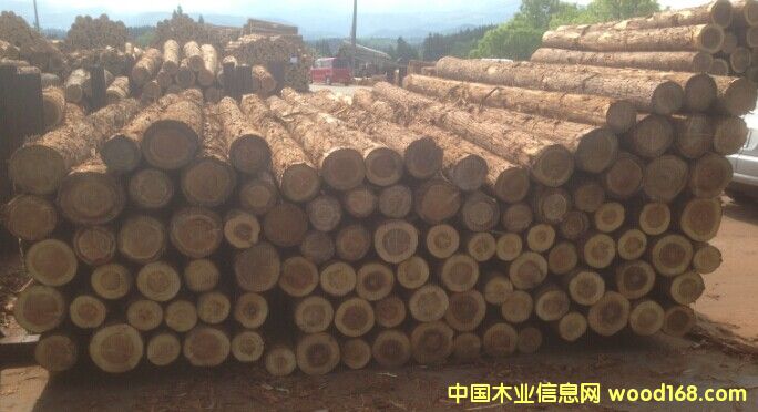 ��ɼԭľ��Ԕ��(x��)��B