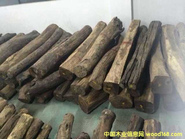 �ϓ��t��֦���ϵ�Ԕ����B