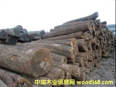 �ǄPԴľ�I(y��)�̓r��������̴��ԭľ�����ޣ�