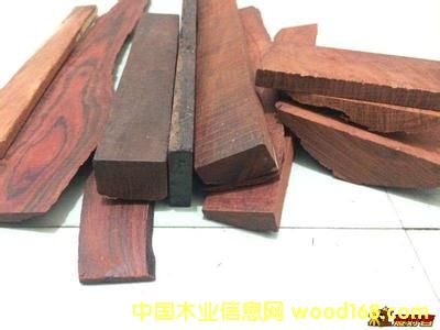 С�~��̴������ �F؛������Ԕ����B