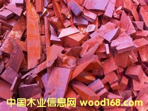 �M����С�~��̴߅���� ���l�r���Ԕ����B