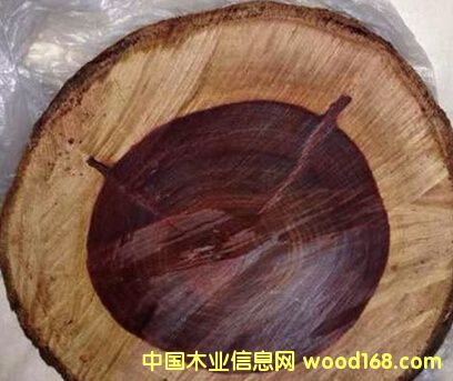 �c���鿴����Ѫ̴  ٝ�ȁ�Ѫ̴�Ŵ�DƬ