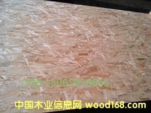 �c���鿴�������|�����ٻ���Ŵ�DƬ