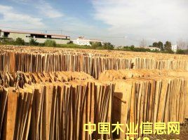 ��ľ�ΰ��Ԕ����B