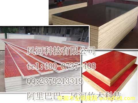 �L����ľ�Ƽ������z���Ԕ����B