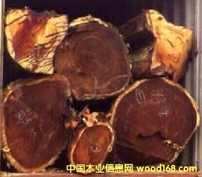 �|�ρ��ڸ�ԭľ��Ԕ��(x��)��B