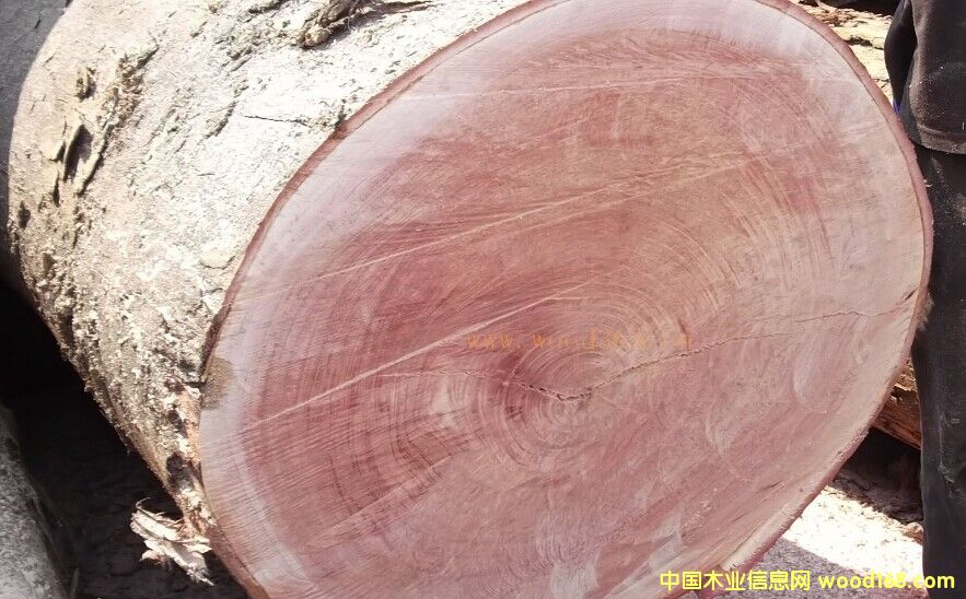 �һ�оԭľ��Ԕ��(x��)��B