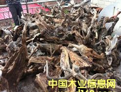 �°�ë�����l(f��)��Ԕ��(x��)��B