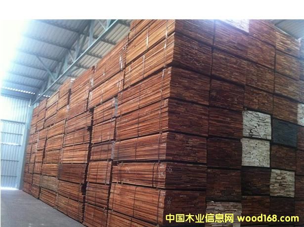 �����tľ��Ԕ����B