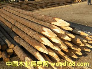 ɼľ�������阶���ӵ�����Ԕ����B