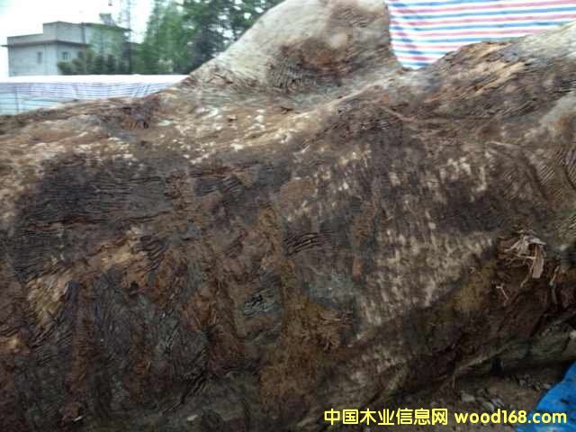 �c(di��n)���鿴��z骞�ľ�Ŵ�DƬ