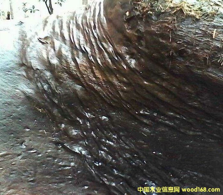 �c(di��n)���鿴��z骞�ľ�Ŵ�DƬ