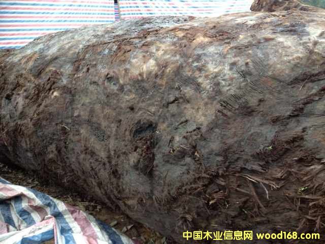 �c(di��n)���鿴��z骞�ľ�Ŵ�DƬ