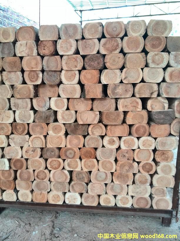 ���Ʒ  ɼľƴ���Ԕ����B