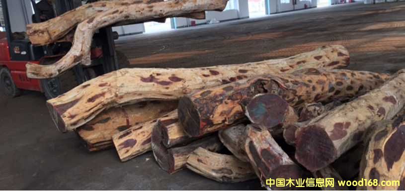 Ⱦ����̴��Ԕ����B