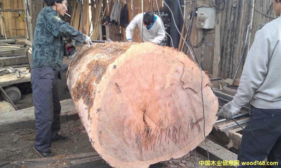 �S���ľ��Ԕ��(x��)��B