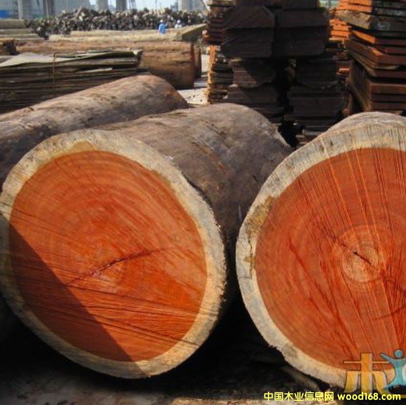 �t���棬��Ԕ��(x��)��B