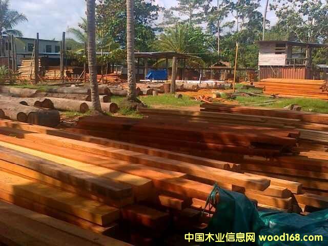 �c���鿴��˾ľ���Ŵ�DƬ