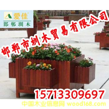 �c���鿴����ľ����Ŵ�DƬ