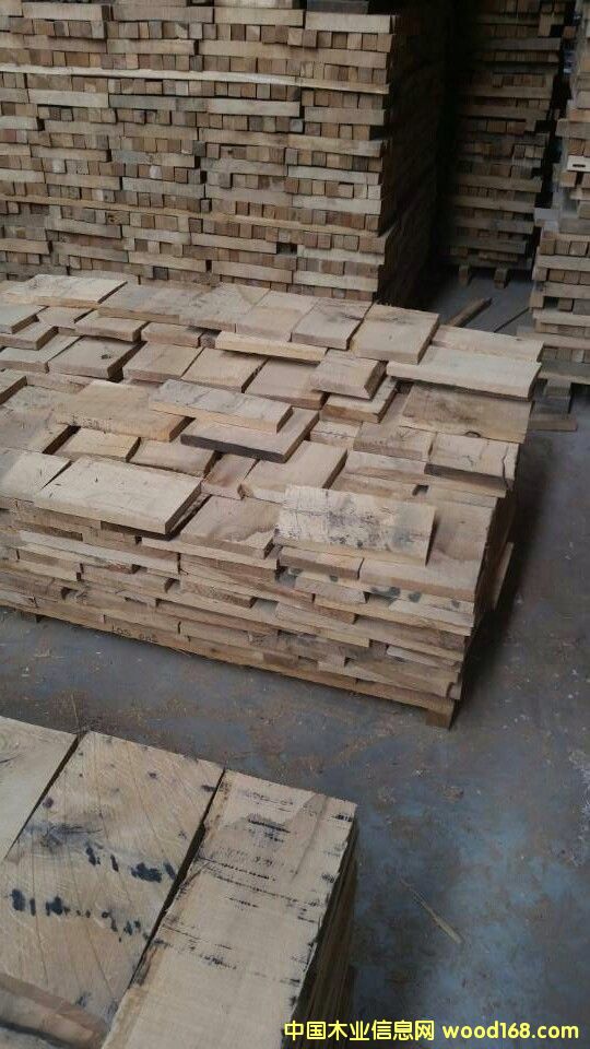 ���������Ķ��^