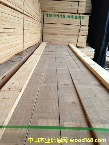 �M�ڟo�Y��