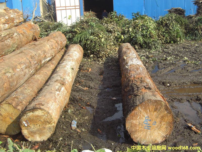 ��o��(ji��)ԭľ