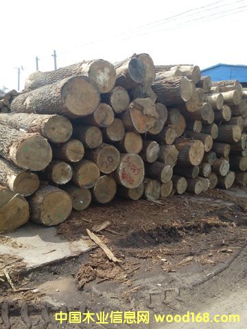 �����m�����Ԕ����B