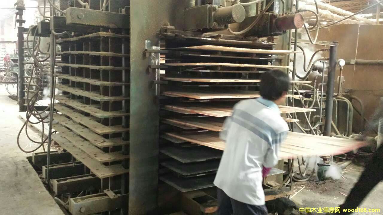 ����?zh��n)ȉ��C��8