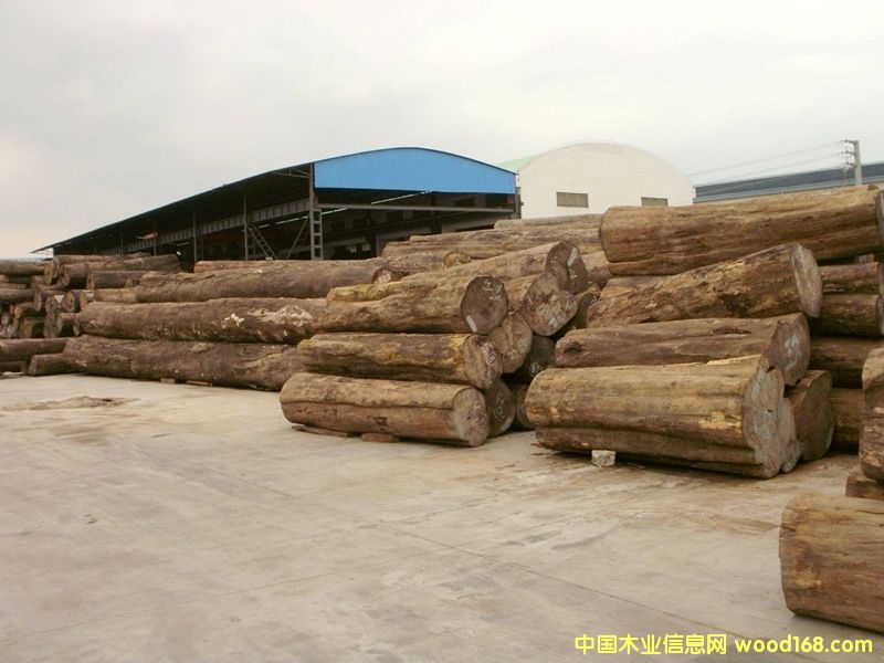 ������ľԭľ