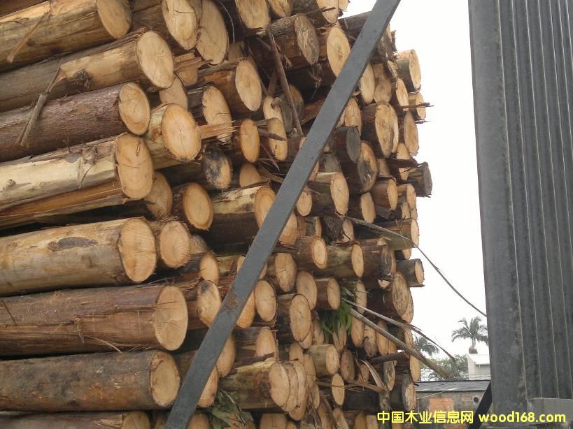 �������ԭľ