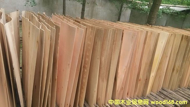 �M�����ΰ�