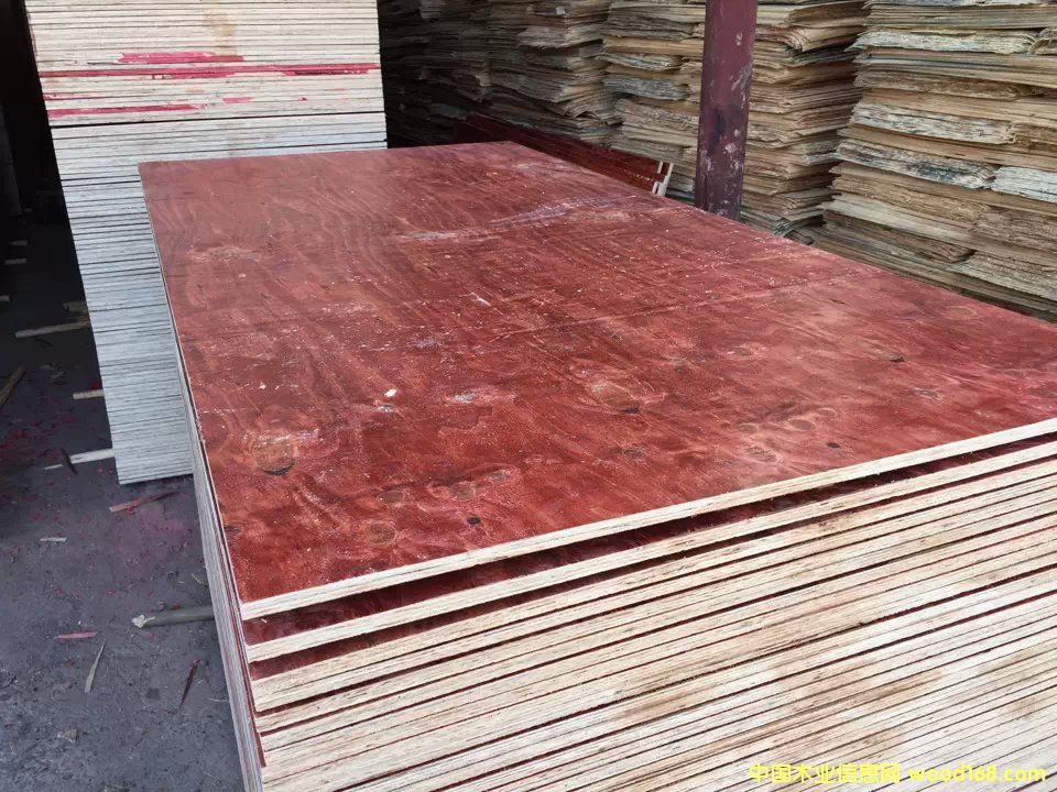 ��ľ����ģ���Ԕ����B