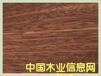 ������ľ