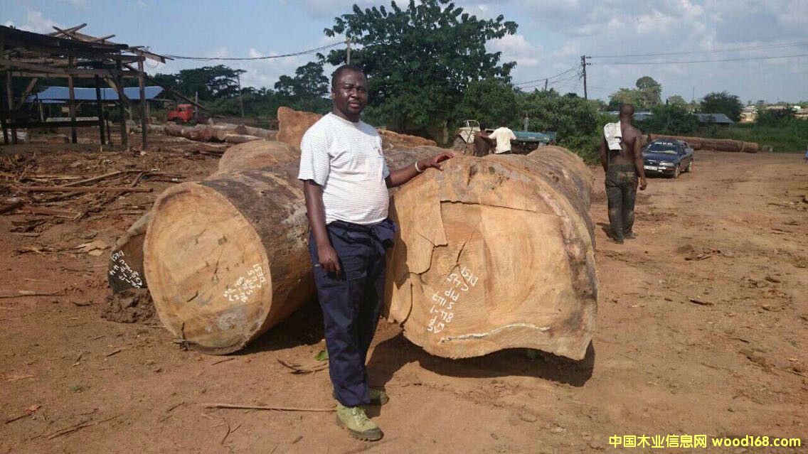 ���������A�P(p��n)��