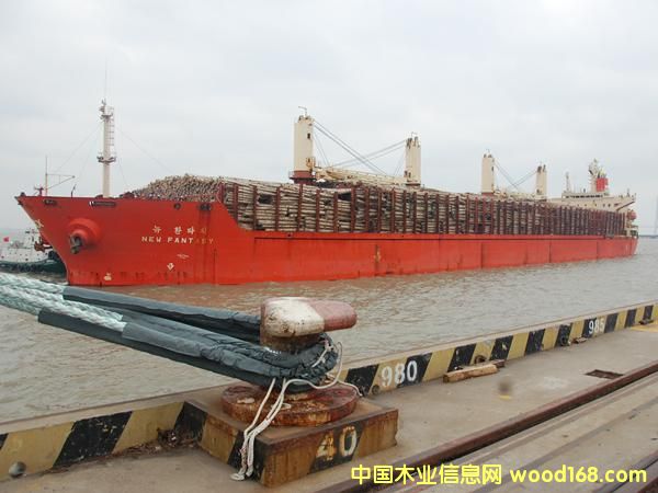 ��������ľ�Ĵ�-̫ƽ���֘I