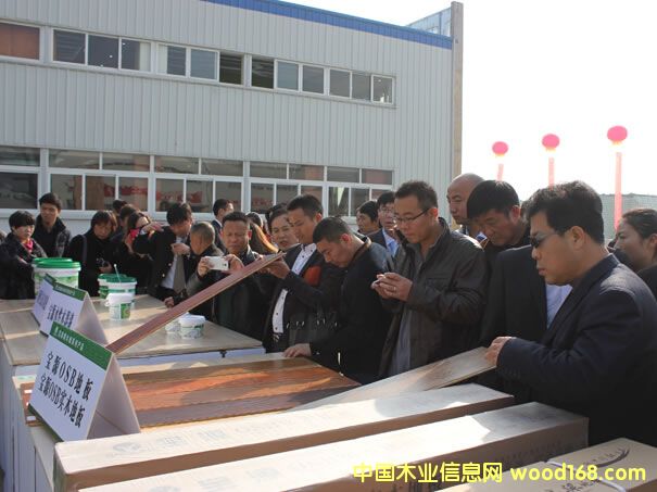 ��Դ��ľ���׌�ȫ�����N�̕��h�ں����G�T���_