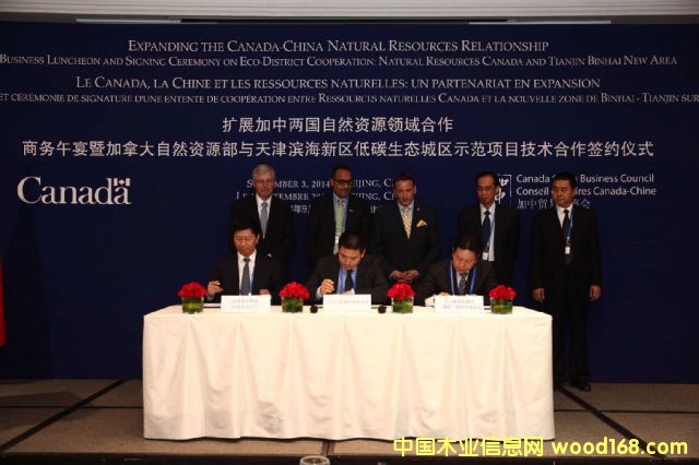 ������B�ǌ�����2ƽ�����ע��ľ�Y����������