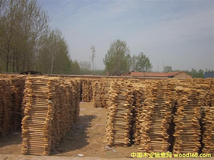 ɽ�|�ܿh�fկ�x�_ľ�I(y��)