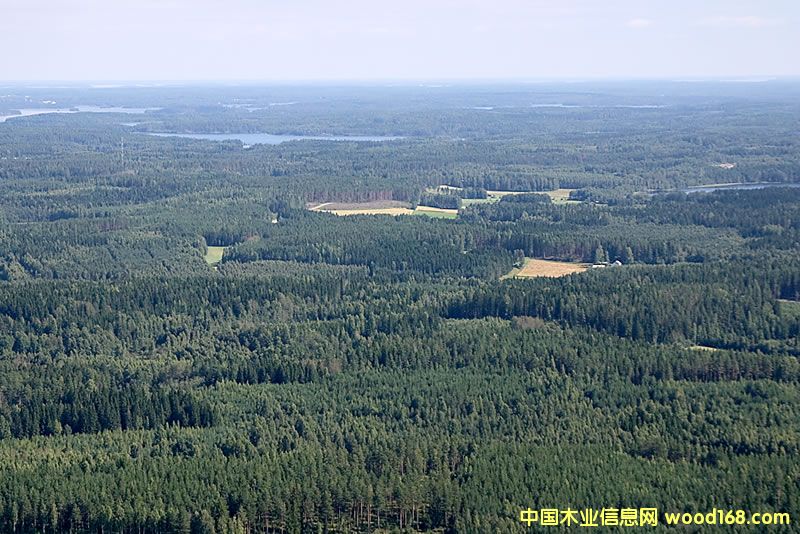 ���mľ�ģ�ɭ���YԴ���w��ȫ���һ