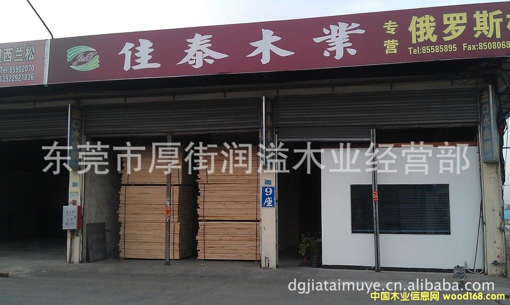 �|ݸ����d�Iľ���Ј���̩ľ�I