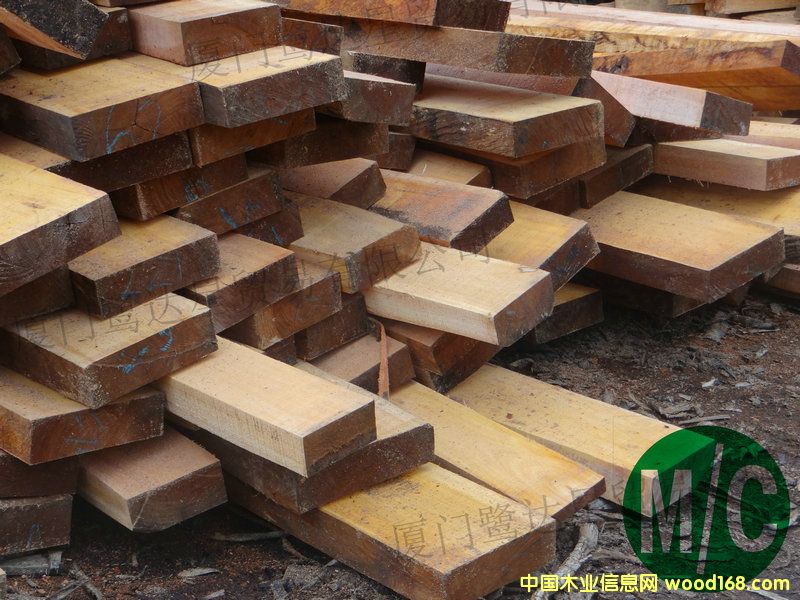 [��] ����(y��ng)�����e�һ�о