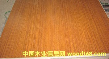 E1��̩���������Ԕ����B