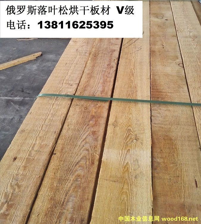 �����ɵ���� TU Ty�� ilim��