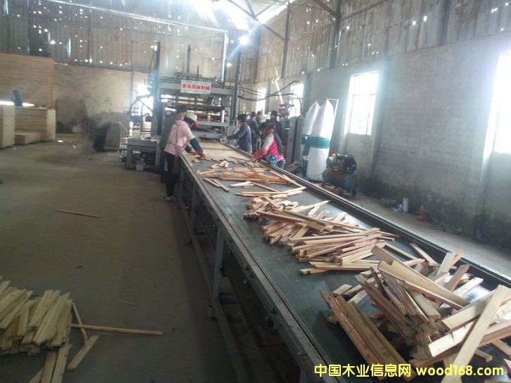 ȫ�ԄӼ�ľ���剺�C�O���Ԕ����B