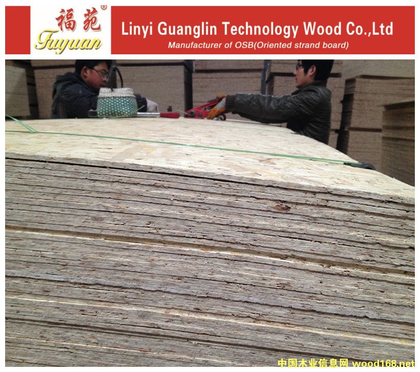 6mm�W�ɰ�OSB��Ԕ��(x��)��B