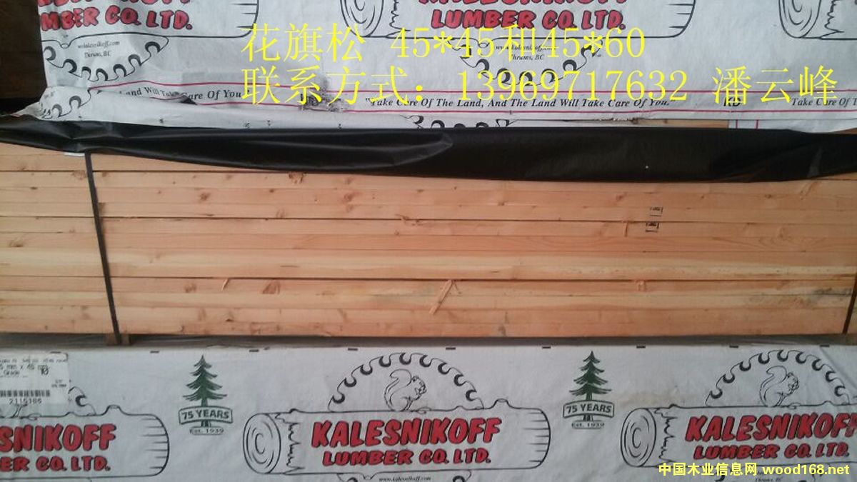 ������..��Ԕ����B