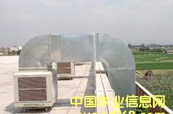 ���{�L�ܵ�Ԕ����B